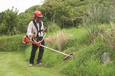 Amplio Training *FAA Level 2  (RQF) Health & Safety In The Workplace course.